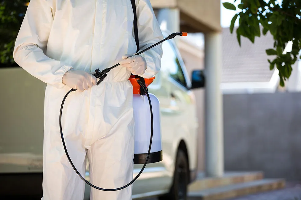 Pest Connection technician at work